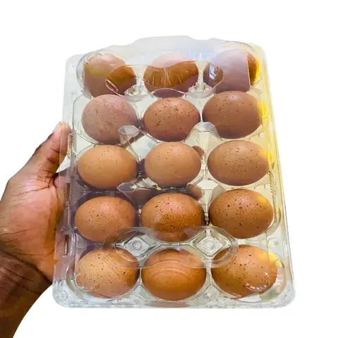 Egg Case By 15Pcs 3X5